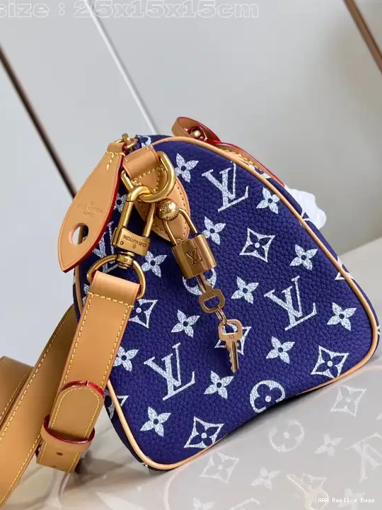 Aaa replica bags Vuitton 25 SPEEDY Louis 0603